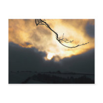 Winter Sun Post Cards