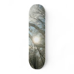 Winter Sunny Tree Skateboard