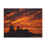 Winter Sunrise Postcard