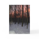 Winter Sunset Greeting Card
