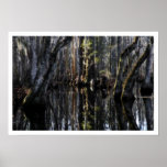 Winter Swamp Poster