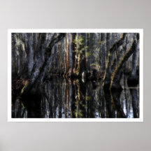 Winter Swamp Poster