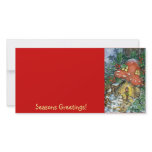 Winter Toadstoole, Seasons Greetings! photo cards