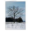 Winter Tree Card
