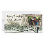 winter tree photo cards