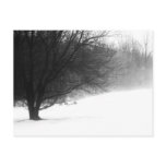 Winter tree post cards