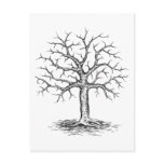 Winter tree postcard