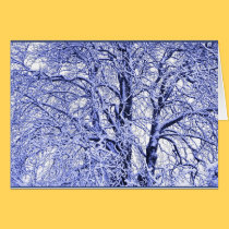 Winter Trees 1 cards