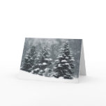 Winter Trees cards