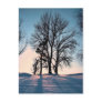 Winter trees on  blue sky background post card