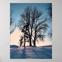 Winter trees on blue sky background posters