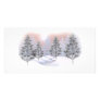 winter trees personalized photo card