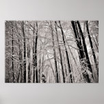 Winter trees print