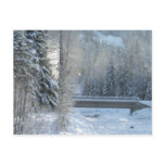 Winter up North Postcard