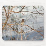 Winter Waxwing Wildlife Nature Photo Mousepad