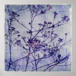 Winter Weeds posters