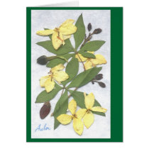 Winter Wildflowers II Cards