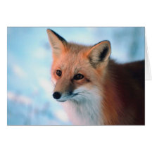 Winter Wildlife Greeting Cards