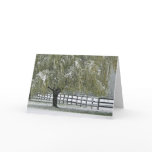 Winter Willow cards