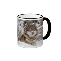 Winter Wolf Mugs