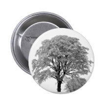 Winter Wonderland Buttons