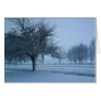 Winter Wonderland Greeting Cards