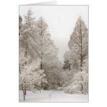 Winter Wonderland Cards Custom Christmas Cards