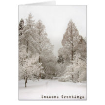 Winter Wonderland Cards Seasons Greetings Cards
