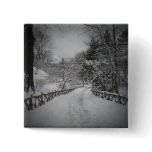 Winter Wonderland, Central Park, New York City Pin
