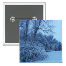 Winter Wonderland Pin...
