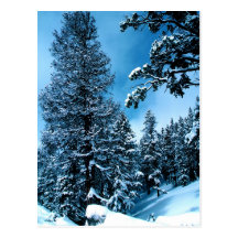 Winter Wonderland Post Cards