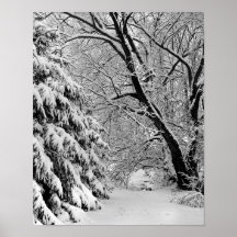 Winter Wonderland Poster