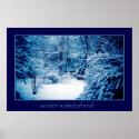 Winter Wonderland posters