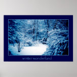 Winter Wonderland posters