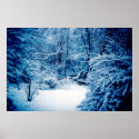 Winter Wonderland posters