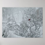 Winter Wonderland posters