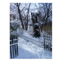 Winter Wonderland (Riverside Park, New York City) Postcard