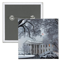 Winter Wonderland White House Pins