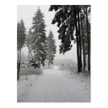 winter wood post card
