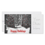 winter woods black and white, Happy Holidays, Y... photo cards