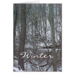 Winter Woods cards