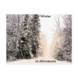 winterink - Customised
