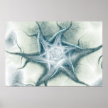Winterrose Poster