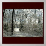 Winters Beauty Poster posters