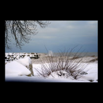 Winter's Beauty posters