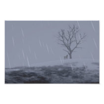 Winter's Chill Photo Print