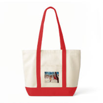 Winters Serenity Cardinal Bag