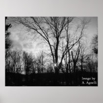 Winters Sundown Posters
