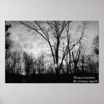 Winters Sundown Posters