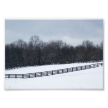 Winterscape 5x7 Photographic Print